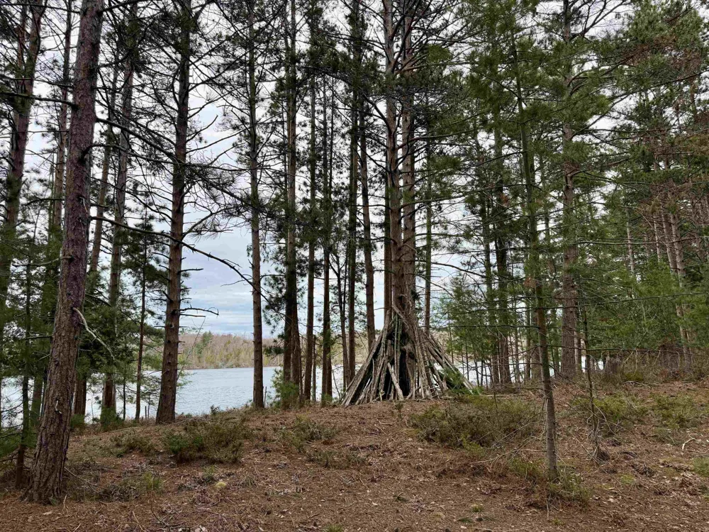 Whitetail Trail Peaine Township, MI 49782
