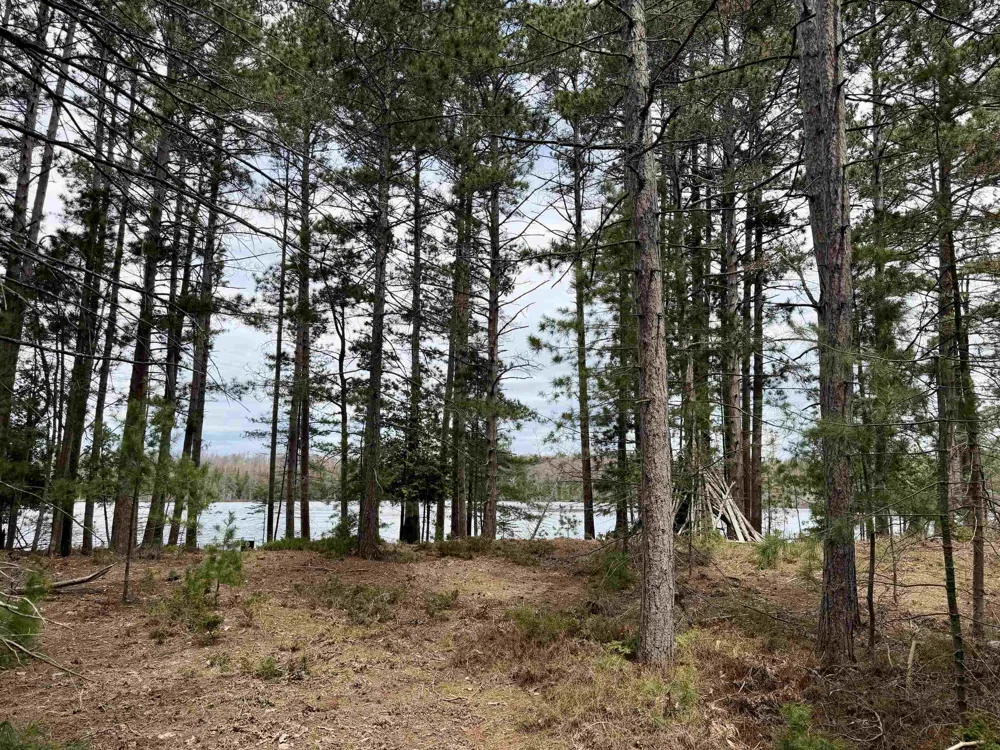 Whitetail Trail Peaine Township, MI 49782