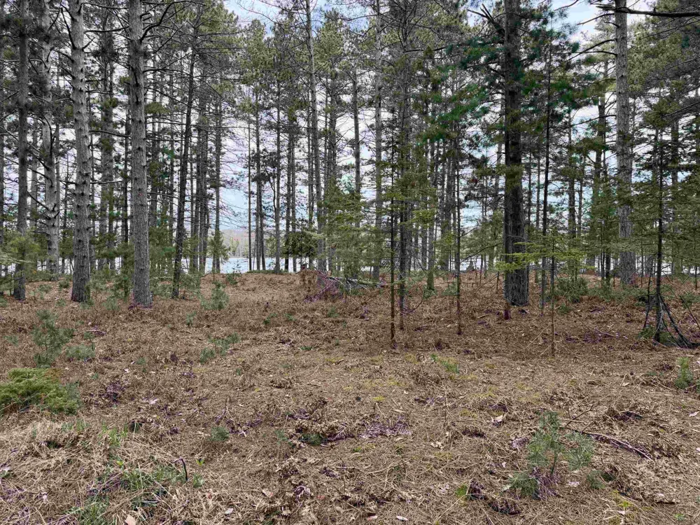 Whitetail Trail Peaine Township, MI 49782