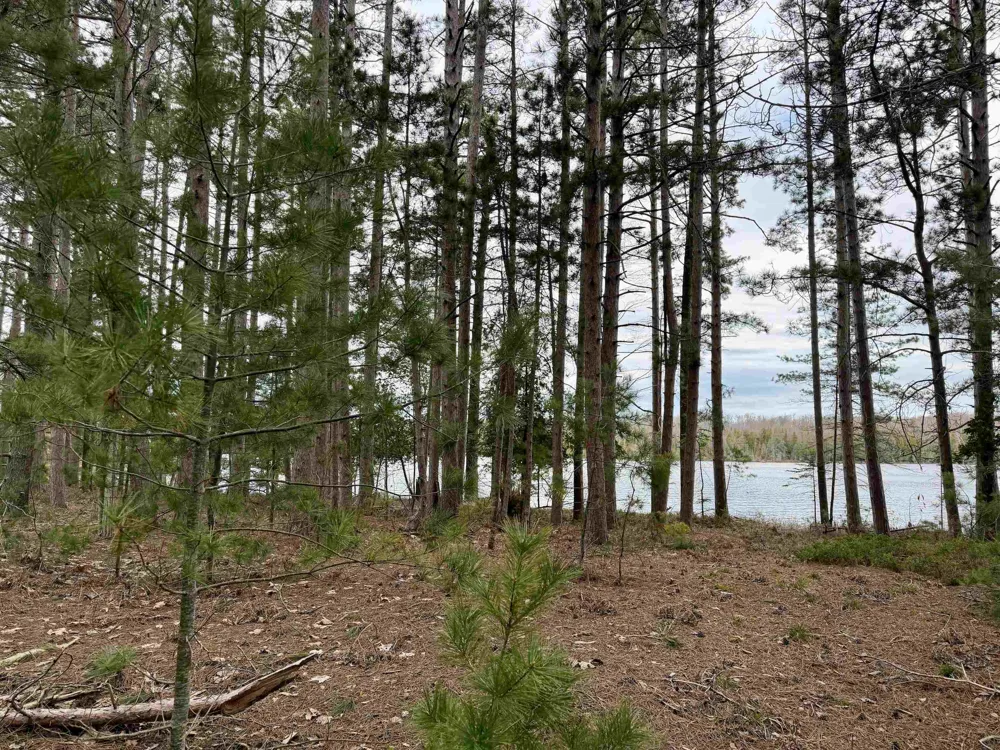 Whitetail Trail Peaine Township, MI 49782