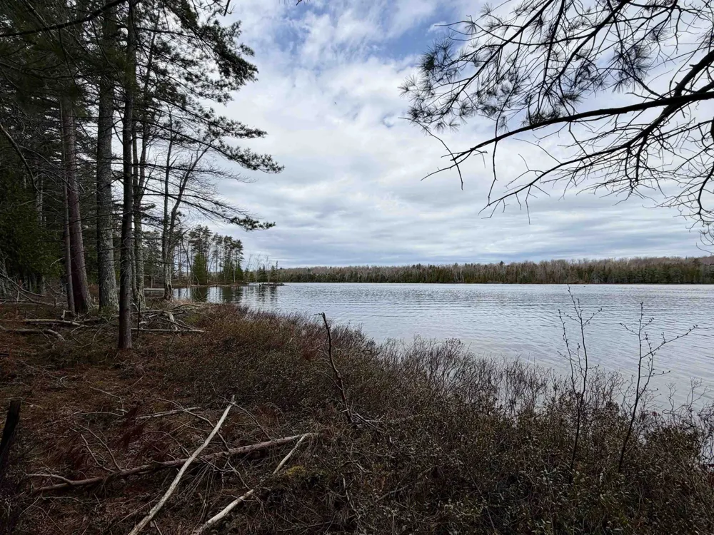 Whitetail Trail Peaine Township, MI 49782