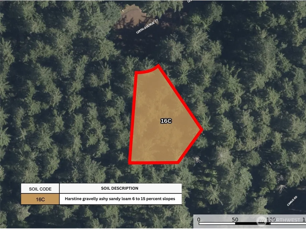 12914 E 101st Street Ct Anderson Island, WA 98303