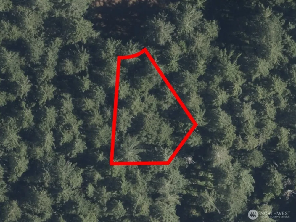 12914 E 101st Street Ct Anderson Island, WA 98303