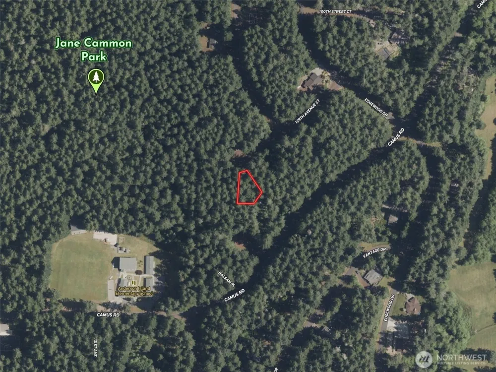 12914 E 101st Street Ct Anderson Island, WA 98303