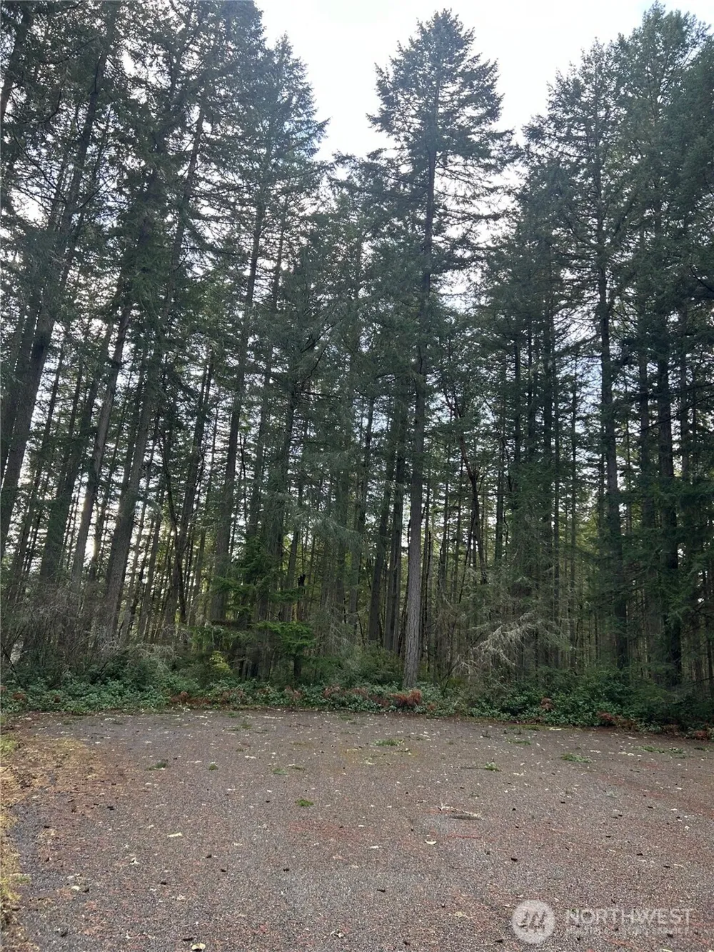 12914 E 101st Street Ct Anderson Island, WA 98303