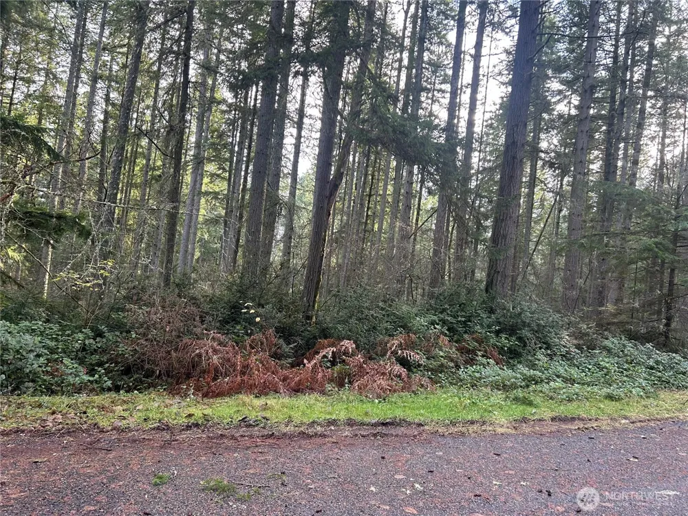 12914 E 101st Street Ct Anderson Island, WA 98303