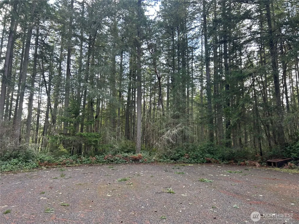 12914 E 101st Street Ct Anderson Island, WA 98303