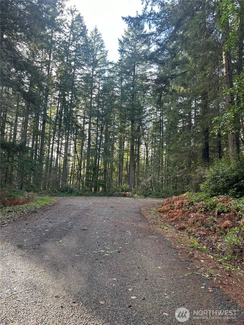 12914 E 101st Street Ct Anderson Island, WA 98303