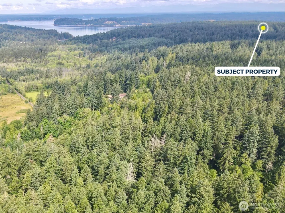 12914 E 101st Street Ct Anderson Island, WA 98303
