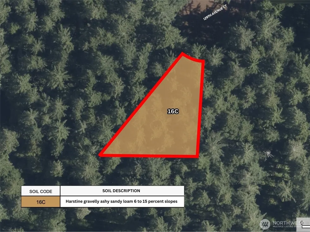 12918 E 101st Street Ct Anderson Island, WA 98303