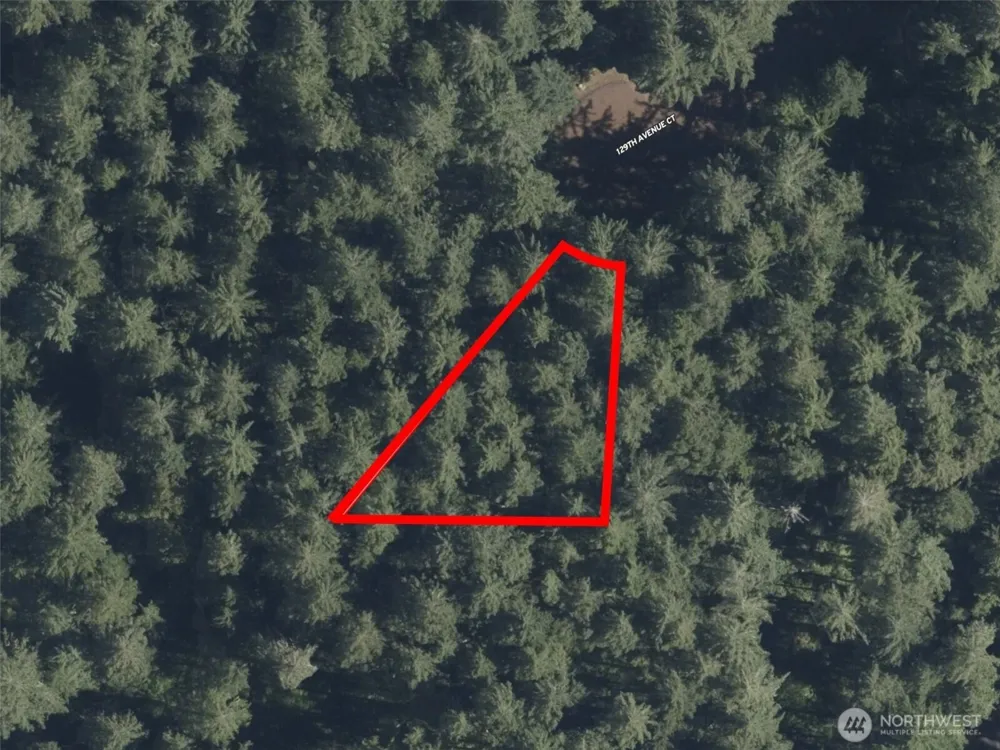 12918 E 101st Street Ct Anderson Island, WA 98303