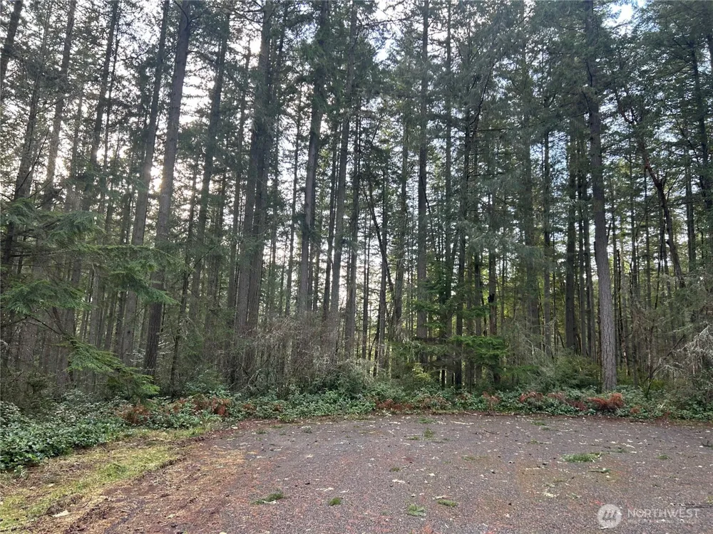 12918 E 101st Street Ct Anderson Island, WA 98303