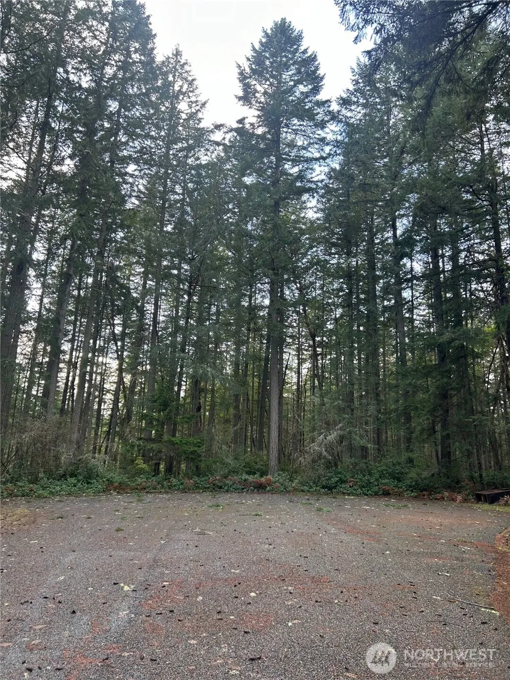12918 E 101st Street Ct Anderson Island, WA 98303