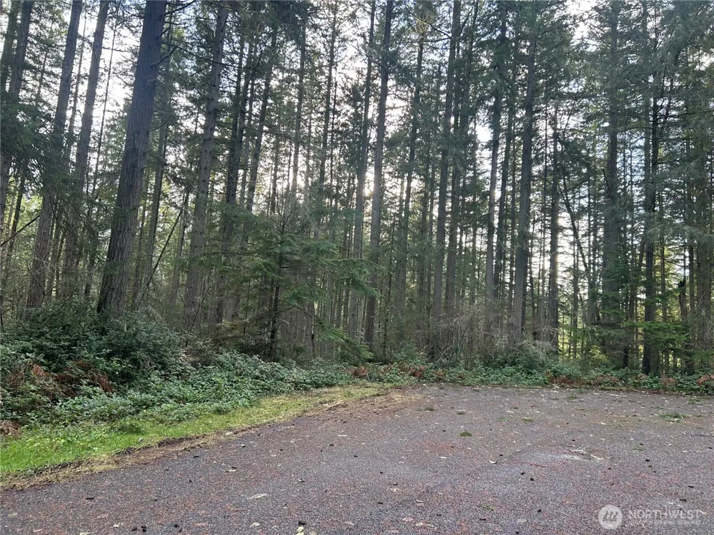 12918 E 101st Street Ct Anderson Island, WA 98303