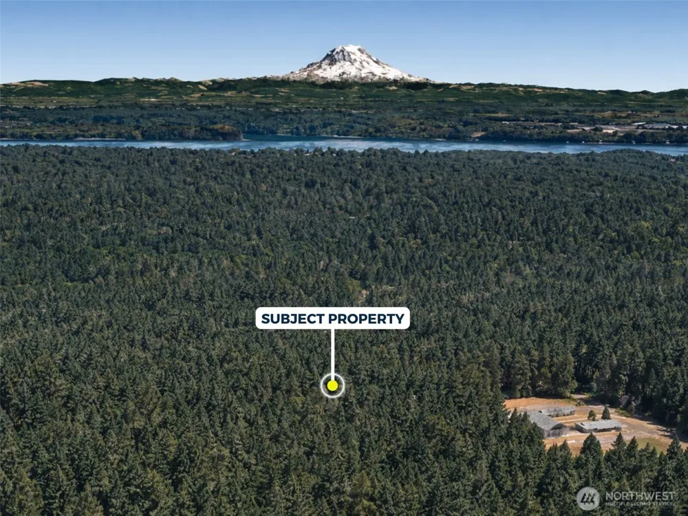 12918 E 101st Street Ct Anderson Island, WA 98303