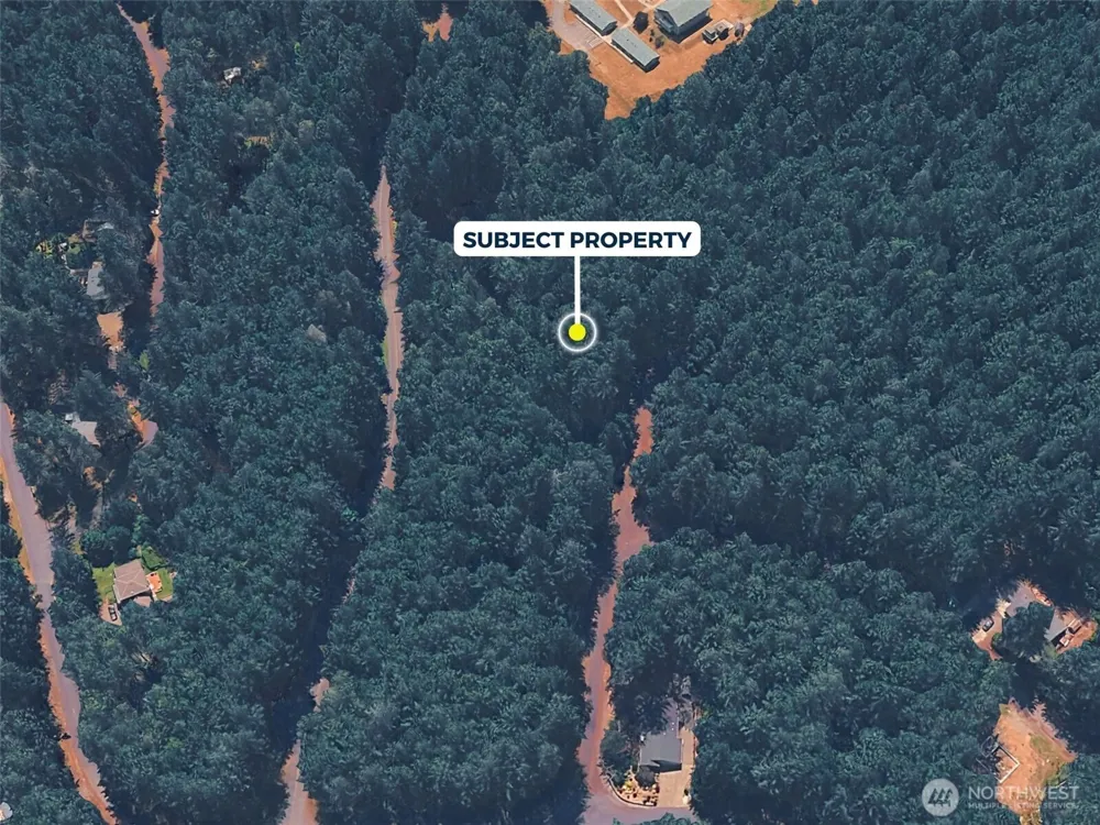 12918 E 101st Street Ct Anderson Island, WA 98303