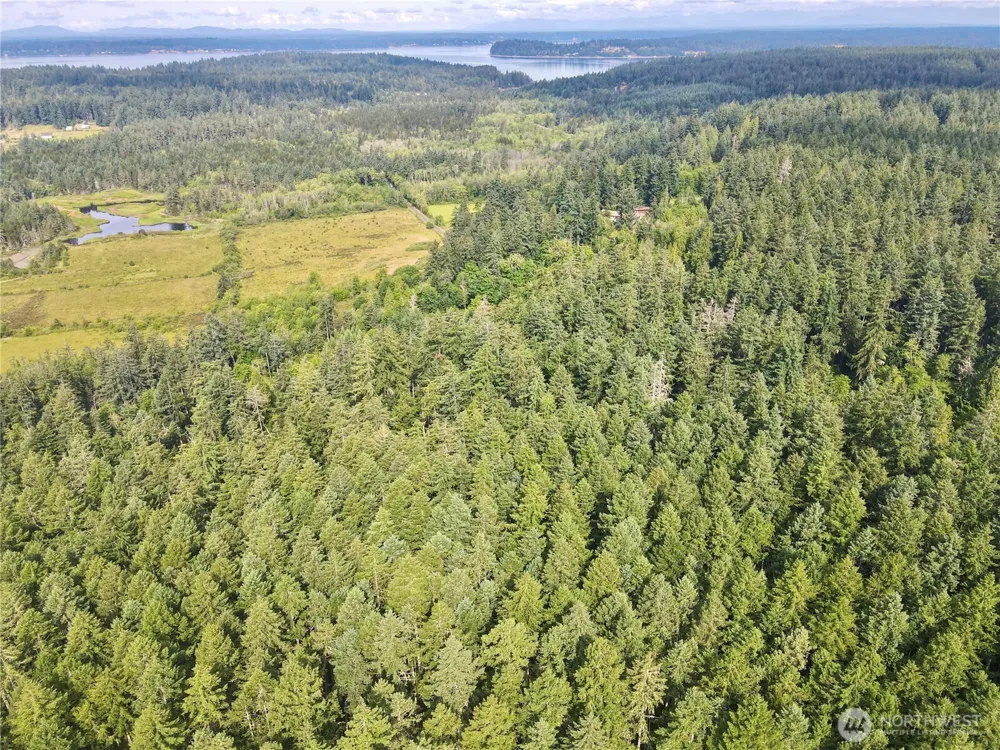 12918 E 101st Street Ct Anderson Island, WA 98303