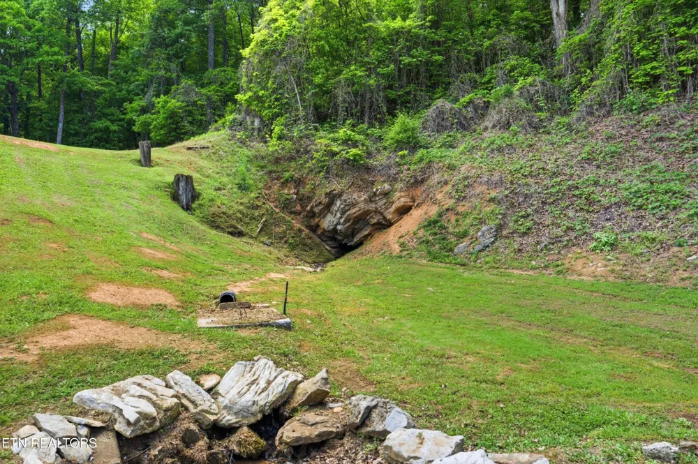 1913 E Union Valley Rd Seymour, TN 37865