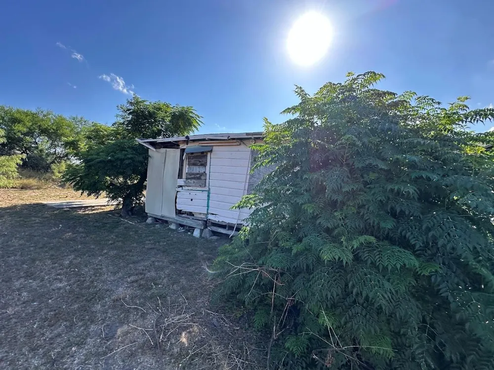 505 Francis Street Bishop, TX 78343