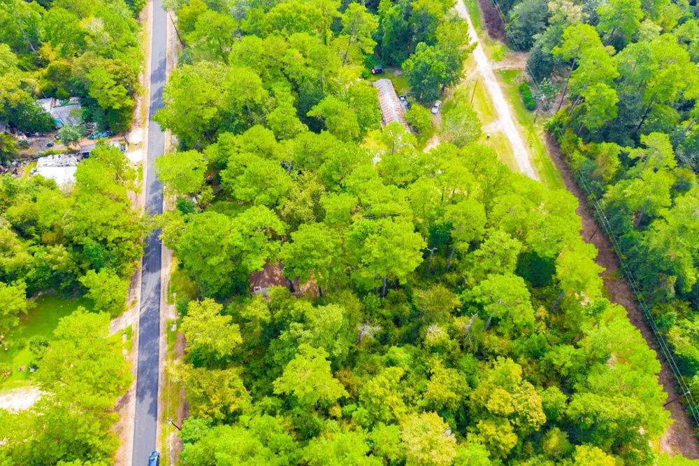 17th Street Woodville, TX 75979