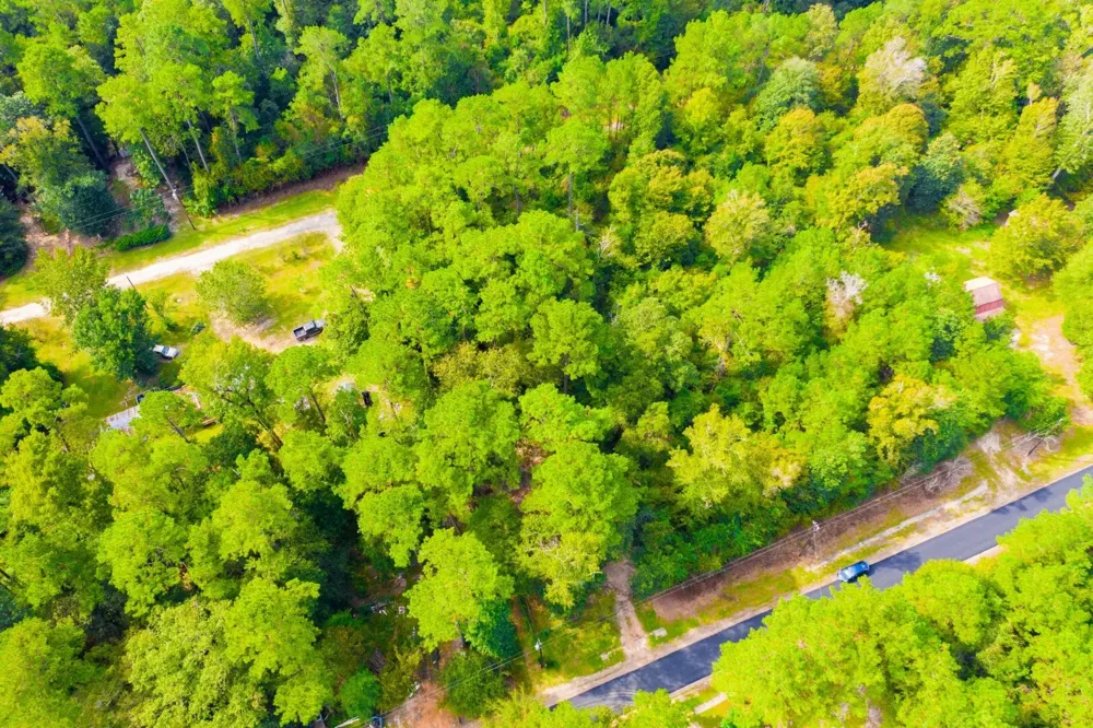 17th Street Woodville, TX 75979