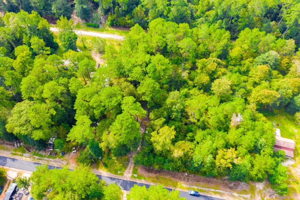 17th Street Woodville, TX 75979