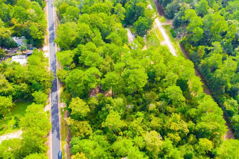 17th Street Woodville, TX 75979