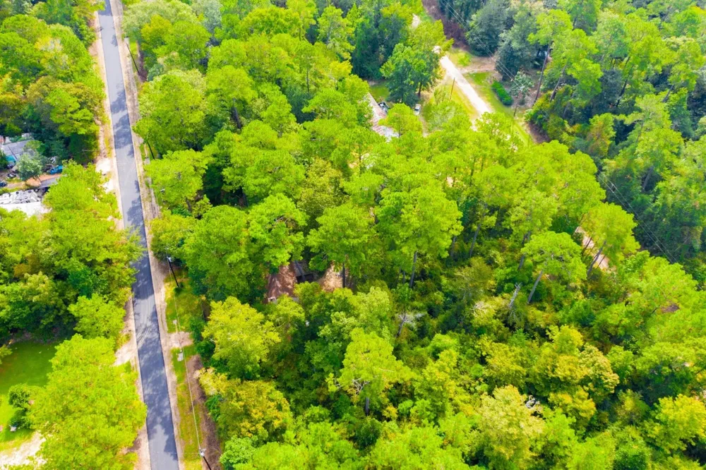 17th Street Woodville, TX 75979