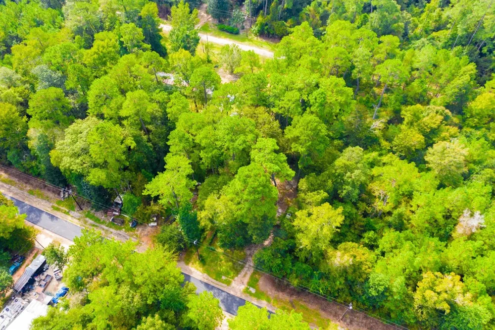 17th Street Woodville, TX 75979