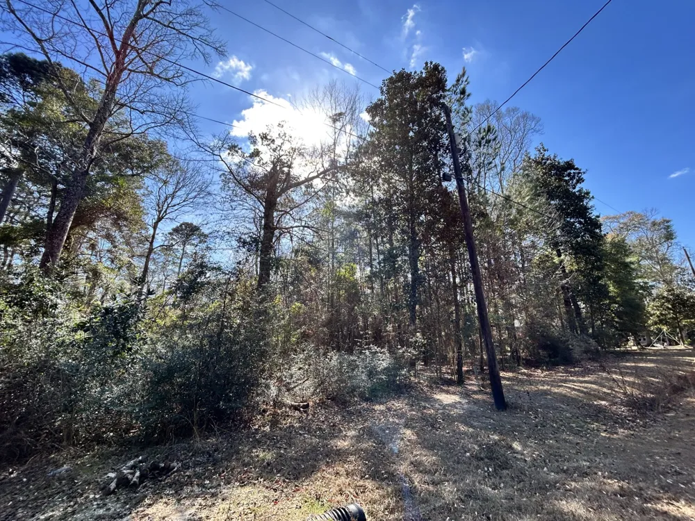 17th Street Woodville, TX 75979