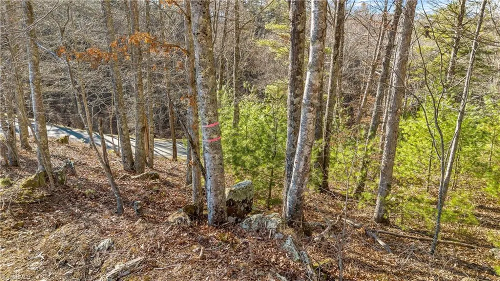 TBD River Stone Drive Laurel Springs, NC 28644