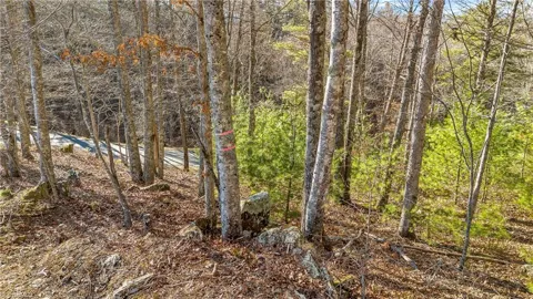 TBD River Stone Drive