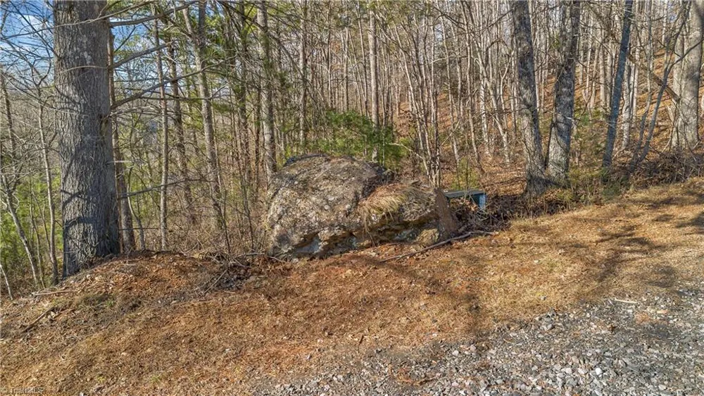 TBD River Stone Drive Laurel Springs, NC 28644