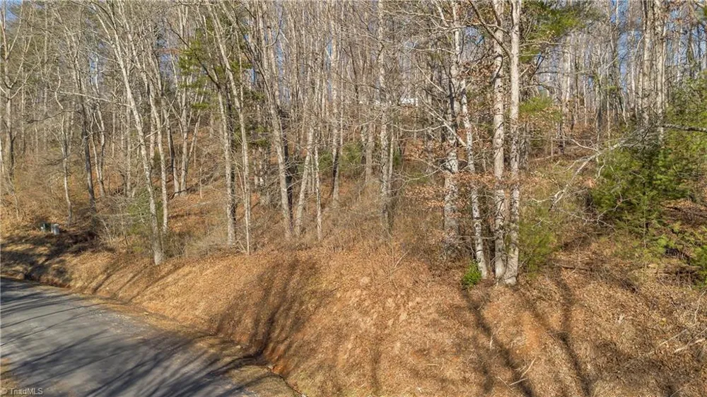 TBD River Stone Drive Laurel Springs, NC 28644