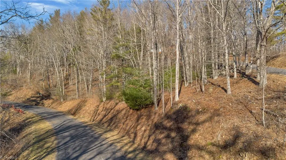 TBD River Stone Drive Laurel Springs, NC 28644