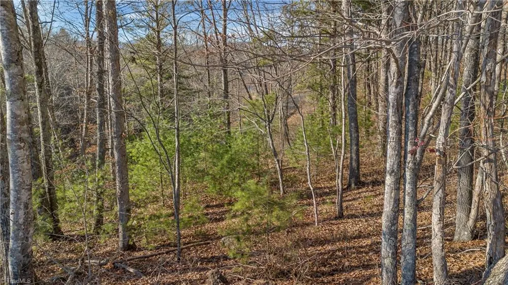 TBD River Stone Drive Laurel Springs, NC 28644