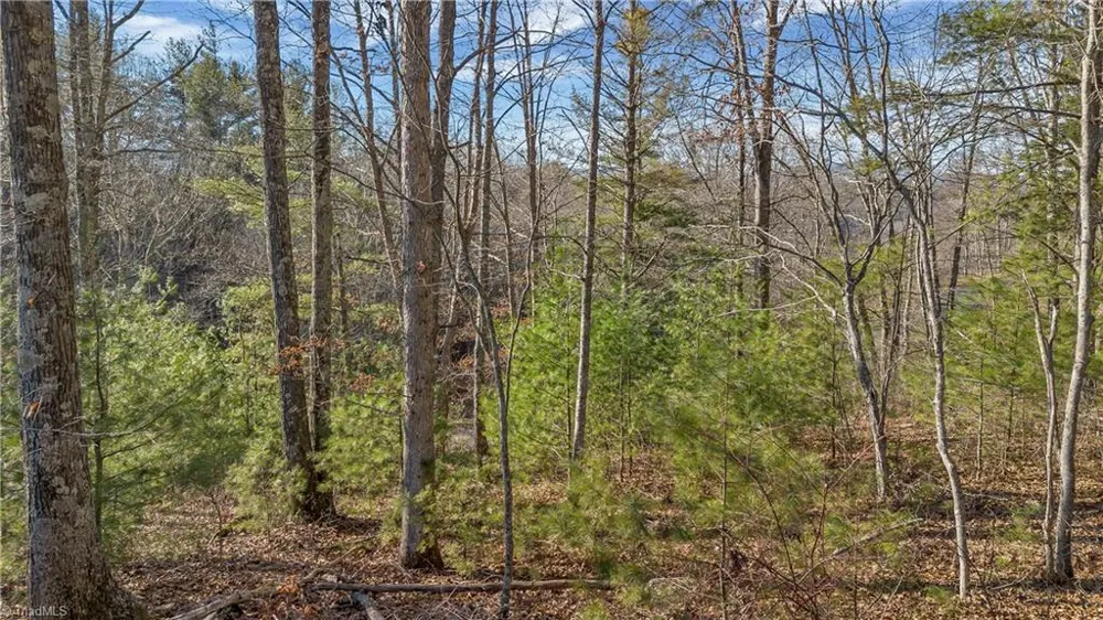 TBD River Stone Drive Laurel Springs, NC 28644