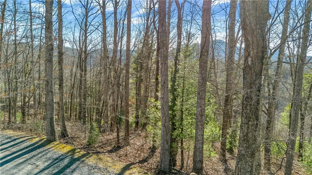 TBD River Stone Drive Laurel Springs, NC 28644