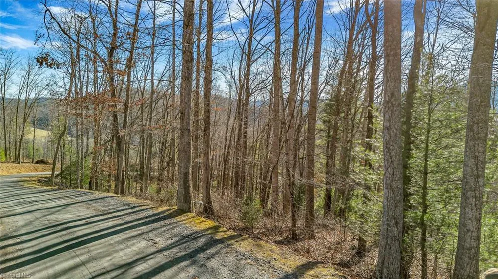 TBD River Stone Drive Laurel Springs, NC 28644