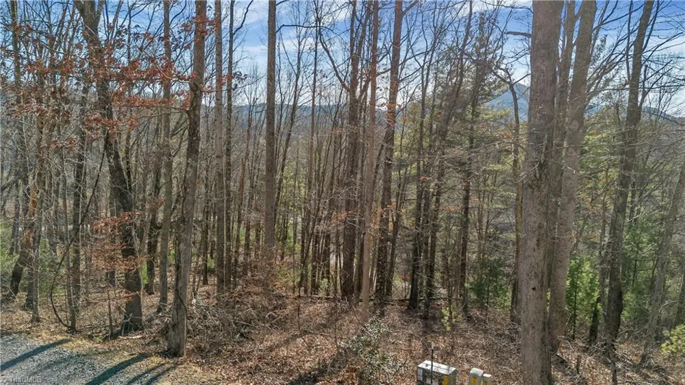 TBD River Stone Drive Laurel Springs, NC 28644