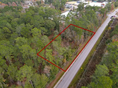 Foster Drive