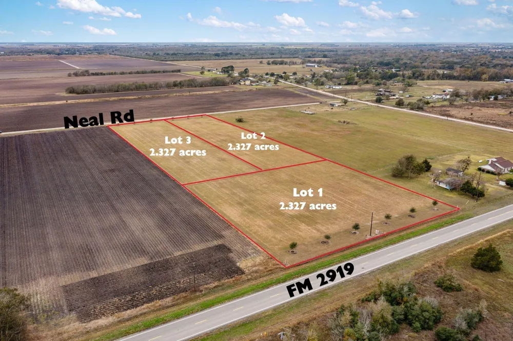 Fm 2919 Lot 1 Beasley, TX 77417
