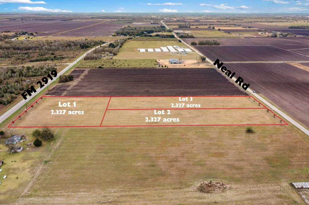 Fm 2919 Lot 1 Beasley, TX 77417