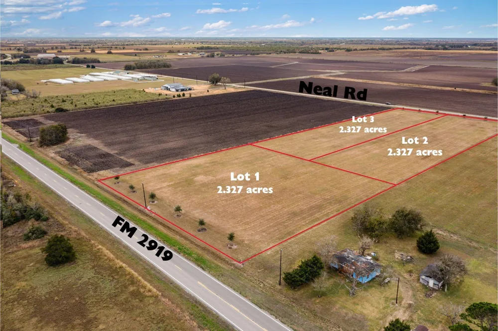 Fm 2919 Lot 1 Beasley, TX 77417