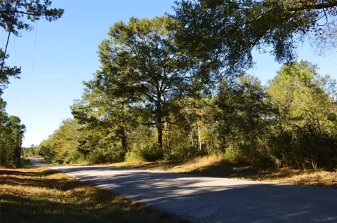 10 County Road 302