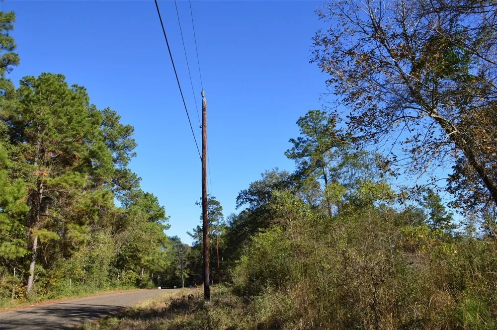 10 County Road 302 Plantersville, TX 77363