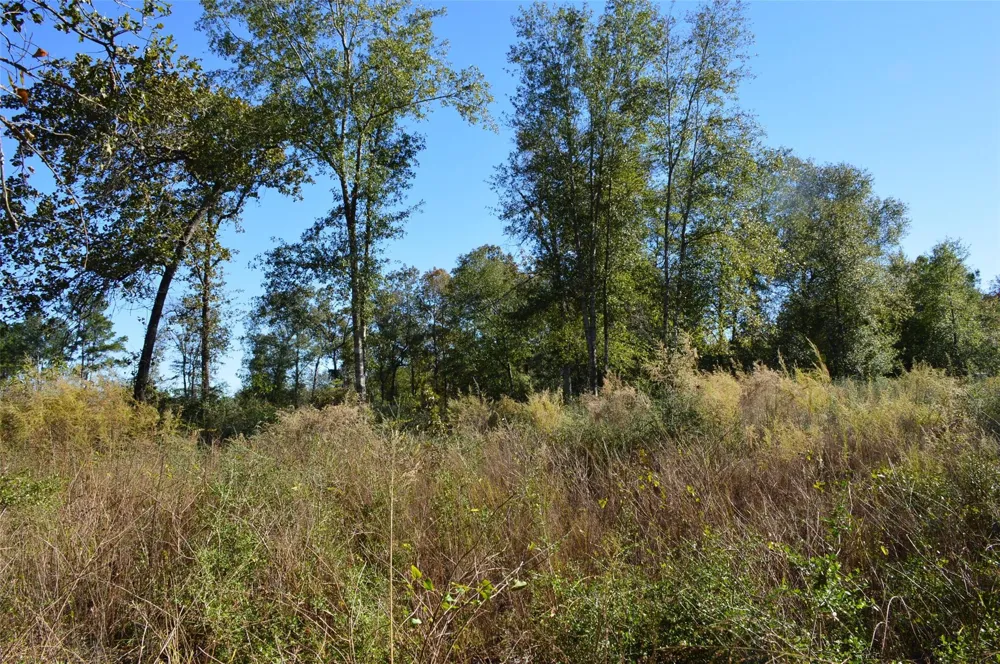 10 County Road 302 Plantersville, TX 77363