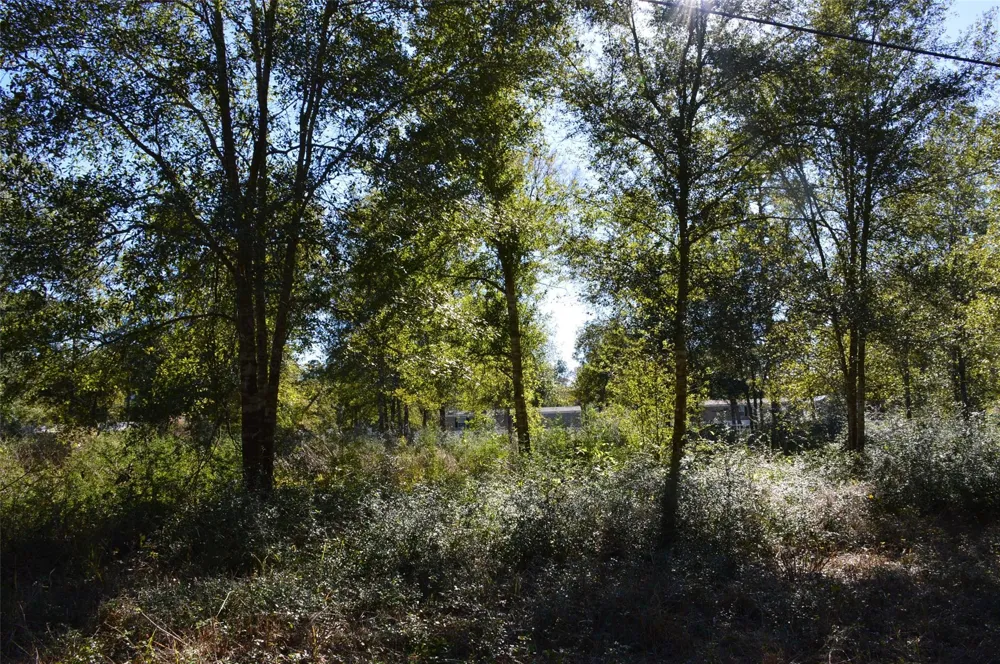 10 County Road 302 Plantersville, TX 77363