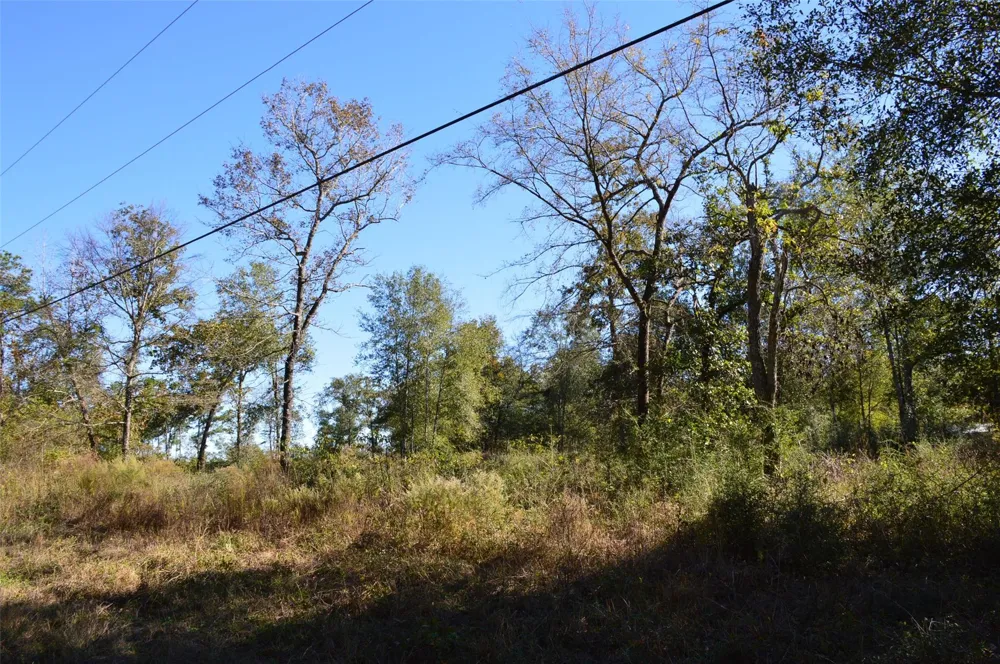 10 County Road 302 Plantersville, TX 77363
