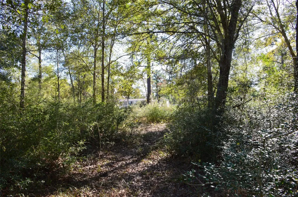 10 County Road 302 Plantersville, TX 77363